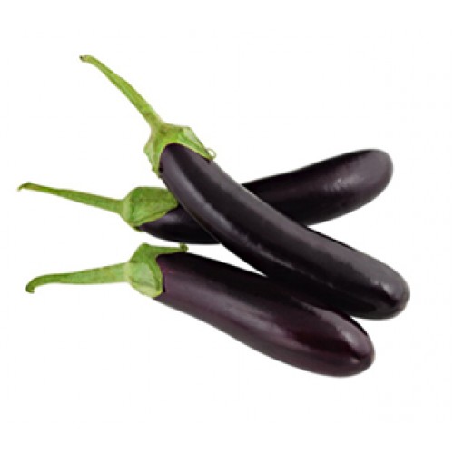 Arous eggplant